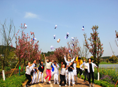 樱花大道
